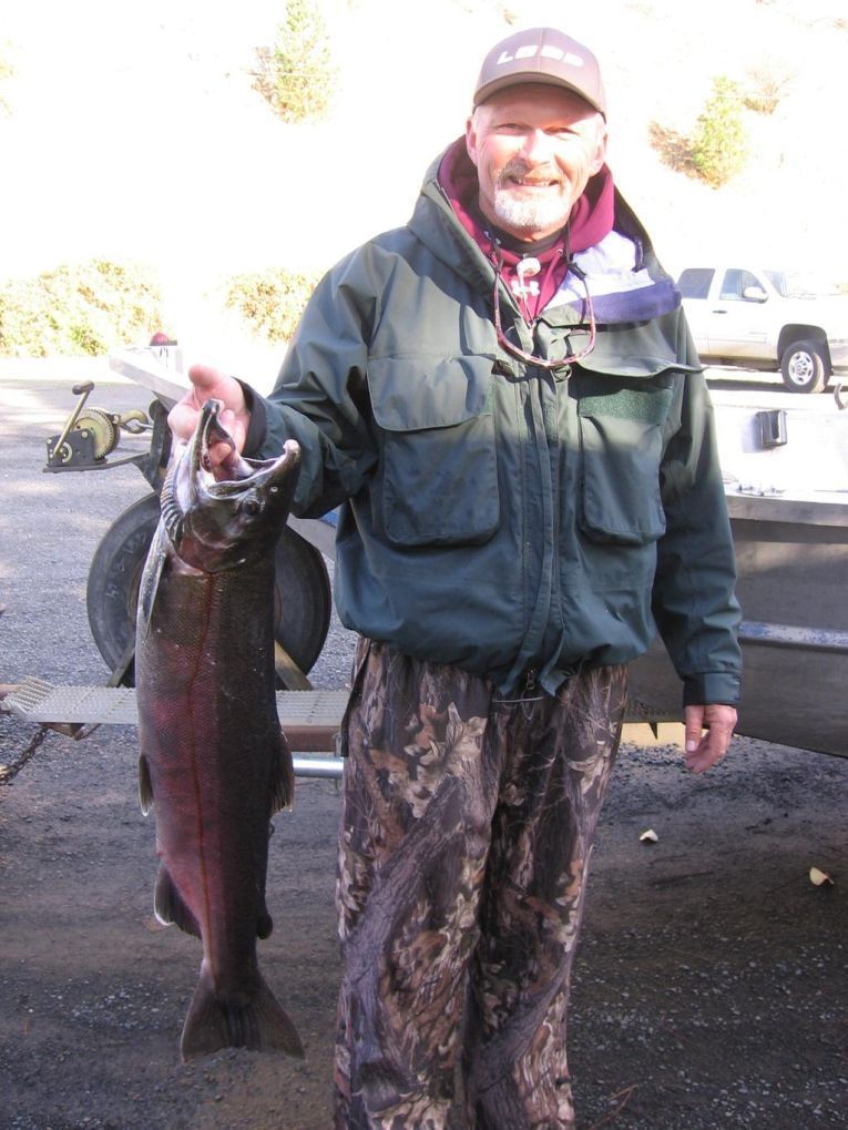 Record Coho Salmon
